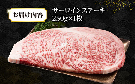 【A4〜A5ランク】長崎和牛 サーロインステーキ 250g（250g×1枚）《壱岐市》【株式会社MEAT PLUS】 肉 牛肉 黒毛和牛 サーロイン ステーキ ご褒美 ギフト 贈答用 ご褒美 冷凍配送