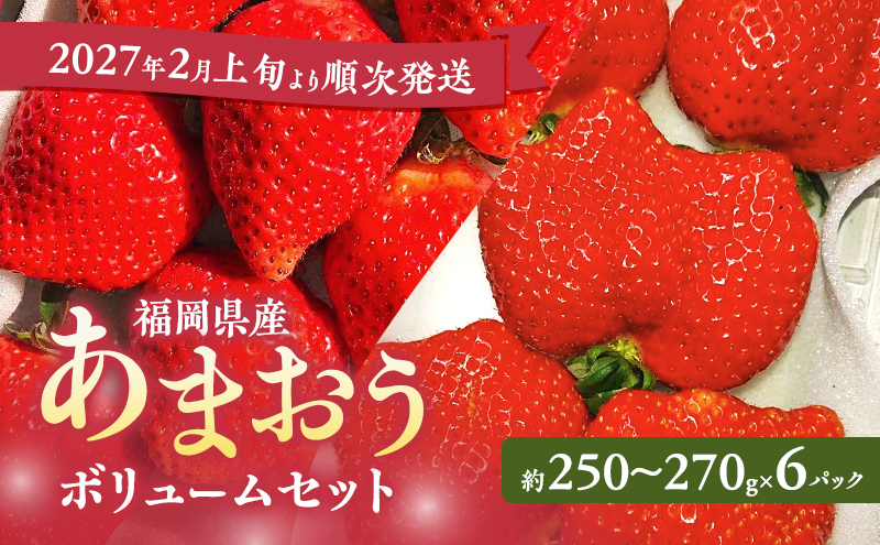 あまおう 【2027年2月上旬より順次発送】 あまおうボリュームセット 6パック イチゴ 苺 いちご 果物 福岡県産 ※配送不可:離島
