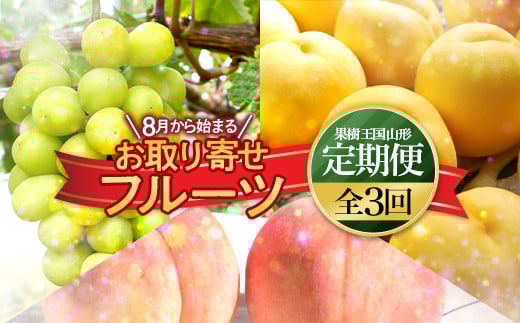 《先行予約 2025年8月上旬発送開始 定期便》8月から始まる お取り寄せフルーツ（白桃 黄桃 シャインマスカット）  もも モモ 桃 デザート フルーツ 果物 くだもの 果実 食品 山形県 FSY-0728