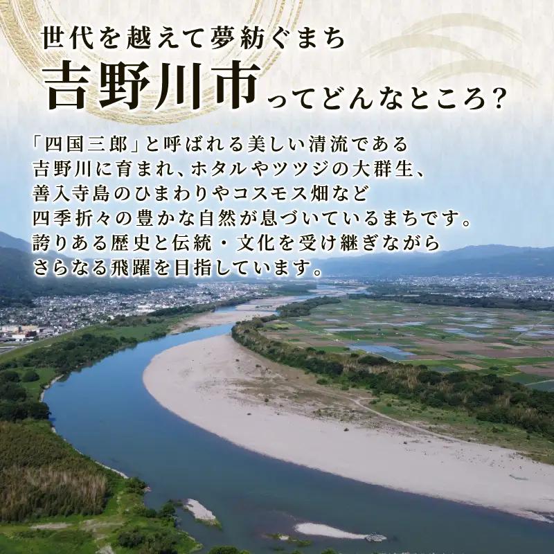先行予約 美郷の小梅干1kg