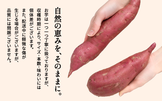 紅はるか(生芋4kg)さつまいも 芋 ストック 腸活 おやつ 間食 人気 国産 自然食品 (a174)