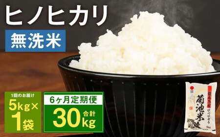 【定期便6ヶ月】熊本県菊池産 ヒノヒカリ 無洗米 計30kg（5kg×6回）精米 お米 白米