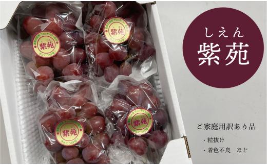 【きよとうファーム】訳あり 紫苑 約2.0kg (岡山県産) 【KF-B038-01】