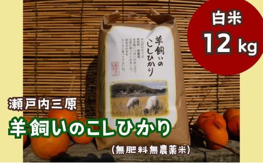 
【無農薬】【無肥料】瀬戸内三原 羊飼いのこしひかり 白米12kg 002013
