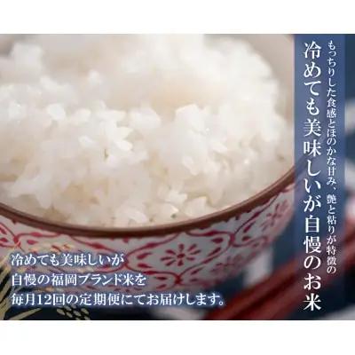 Y17-87 研ぐお米福岡県産・元気つくし10kg定期便(毎月・年12回)