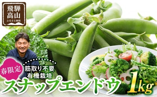 
                  飛騨高山産 筋取り不要の有機栽培スナップエンドウ1kg（春限定・5〜6月発送）｜新鮮 春野菜 旬の味覚 えんどう 彩り野菜 山藏農園 JC019
                