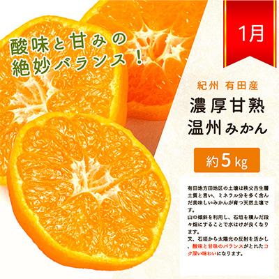 ふるさと納税 九度山町 【発送月固定定期便】紀州和歌山産旬の柑橘セット(みかん・不知火・清見)全3回 |  | 01