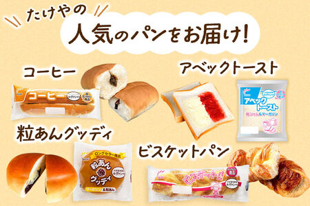 【定期便2ヶ月】たけや製パン 秋田ふるさと満喫セット 10種各1個（合計10個） 菓子パン