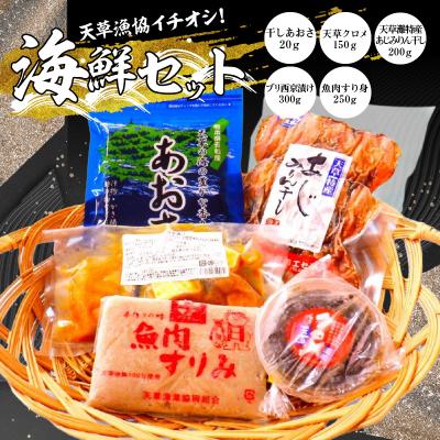 ふるさと納税 天草市 天草漁協イチオシ海鮮セット_S104-012