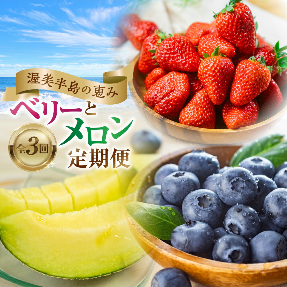 【ふるさと納税】渥美半島の恵み フルーツ 定期便 ( いちご / ブルーベリー / メロン ) 果物 3回 旬 苺 紅ほっぺ 高糖度 こだわり 人気 高評価 くだもの フルーツ定期便 果物定期便 ベリー 先行予約 愛知県 田原市 送料無料 ド甘い