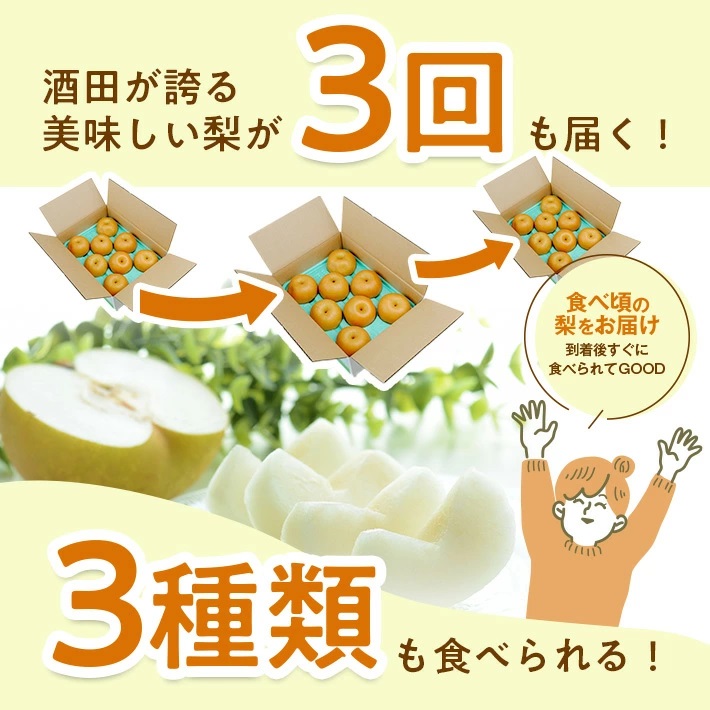 SE0348　【3回定期便】酒田産 特選 和梨3種味比べ定期便2025 (幸水梨、豊水梨、和梨〔品種おまかせ〕/各約3kg)