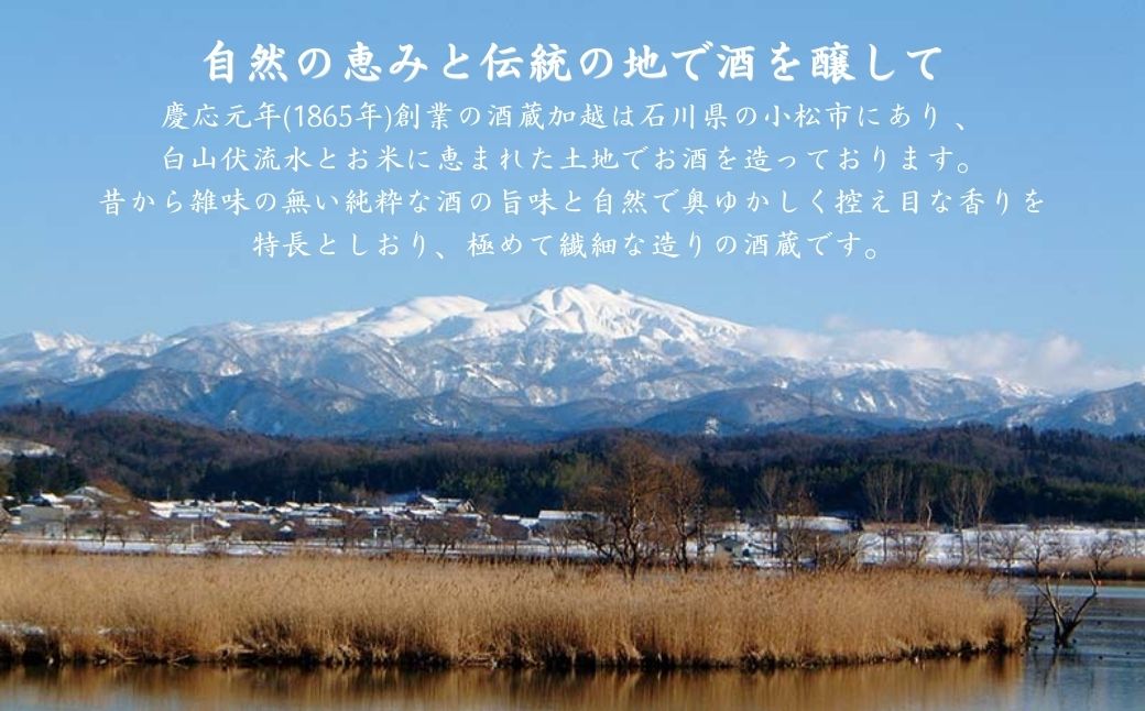 【春・夏限定】 日本酒 純米吟醸 加賀ノ月 風船 無濾過生 720ml×1本【加越酒造】