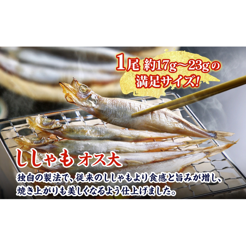 北海道産ししゃもオス大30尾 北海道 稀少 魚 シシャモ オス おつまみ 魚貝類 干物 本物 人気 希少 塩 味付け 脂のり 旨み 美味しい 大きい_イメージ2