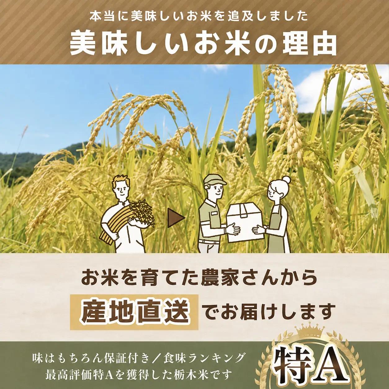 【先行予約】 訳あり 令和8年度 新米 真岡市産とちぎの星（玄米真空パック) 約4kg