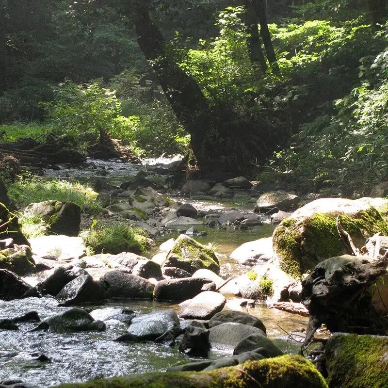 【玄米】ゆめおばこ 秋田県産 岩城町農園のゆめおばこ 5kg（5kg×1袋）令和7年産 真空パック