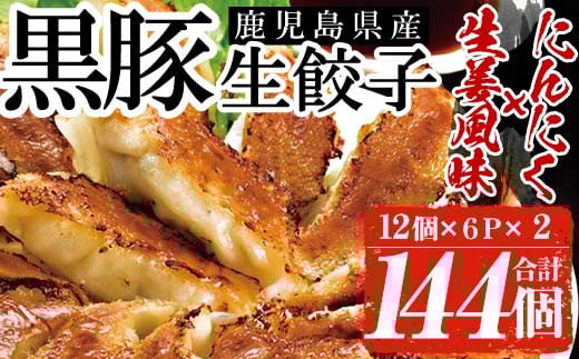 鹿児島黒豚の生餃子2種類食べ比べセット！合計144個(12個×各6P×2種類) 国産 九州産 鹿児島産 国産豚 餃子 ぎょうざ ギョウザ 惣菜 にんにく 生姜 セット 食べ比べ 冷凍 おかず 弁当 小分け【鹿児島協同食品】【A-1867H】