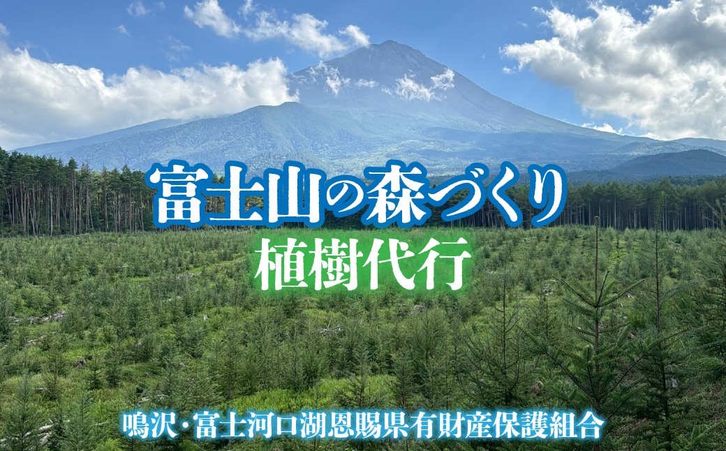富士山の森づくり植樹代行 NSAP001