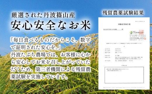 【定期便・新米8年産】玄米 特Aランク 特別栽培米 コシヒカリ30kg（全6回） 兵庫県 丹波篠山市 白米 100％単一原料米 産地直送米 おいしい お米 玄米 コシヒカリ ブランド おこめ 健康 送