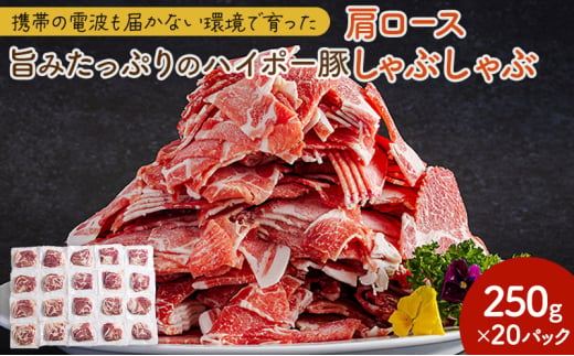 [№5681-0147]豚肉 肩ロース しゃぶしゃぶ 250g×20パック 小分けセット | 携帯の電波も届かない環境で育った旨みたっぷりのハイポー豚 豚 肉 お肉 ※配送不可:離島