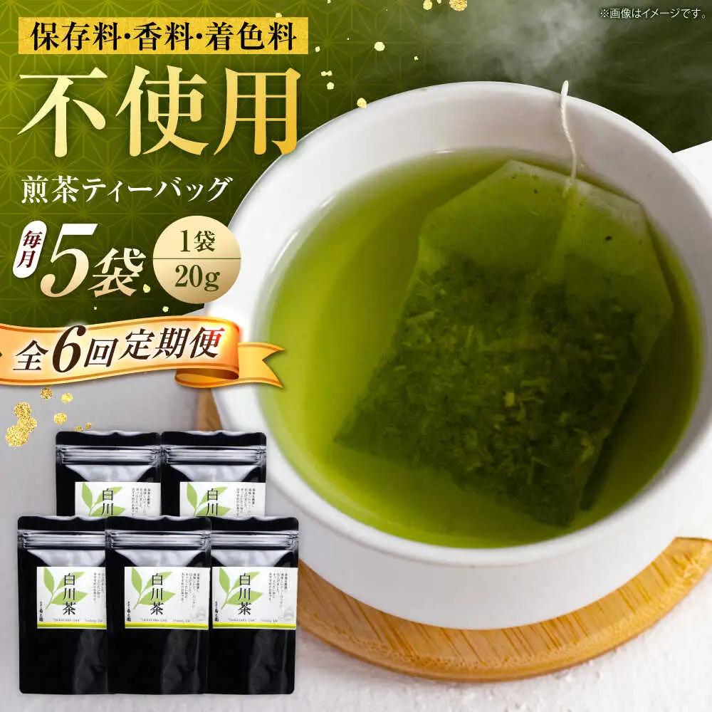 【6回定期便】煎茶 ティーバッグ 5袋 / 菊之園[AWAG006]煎茶