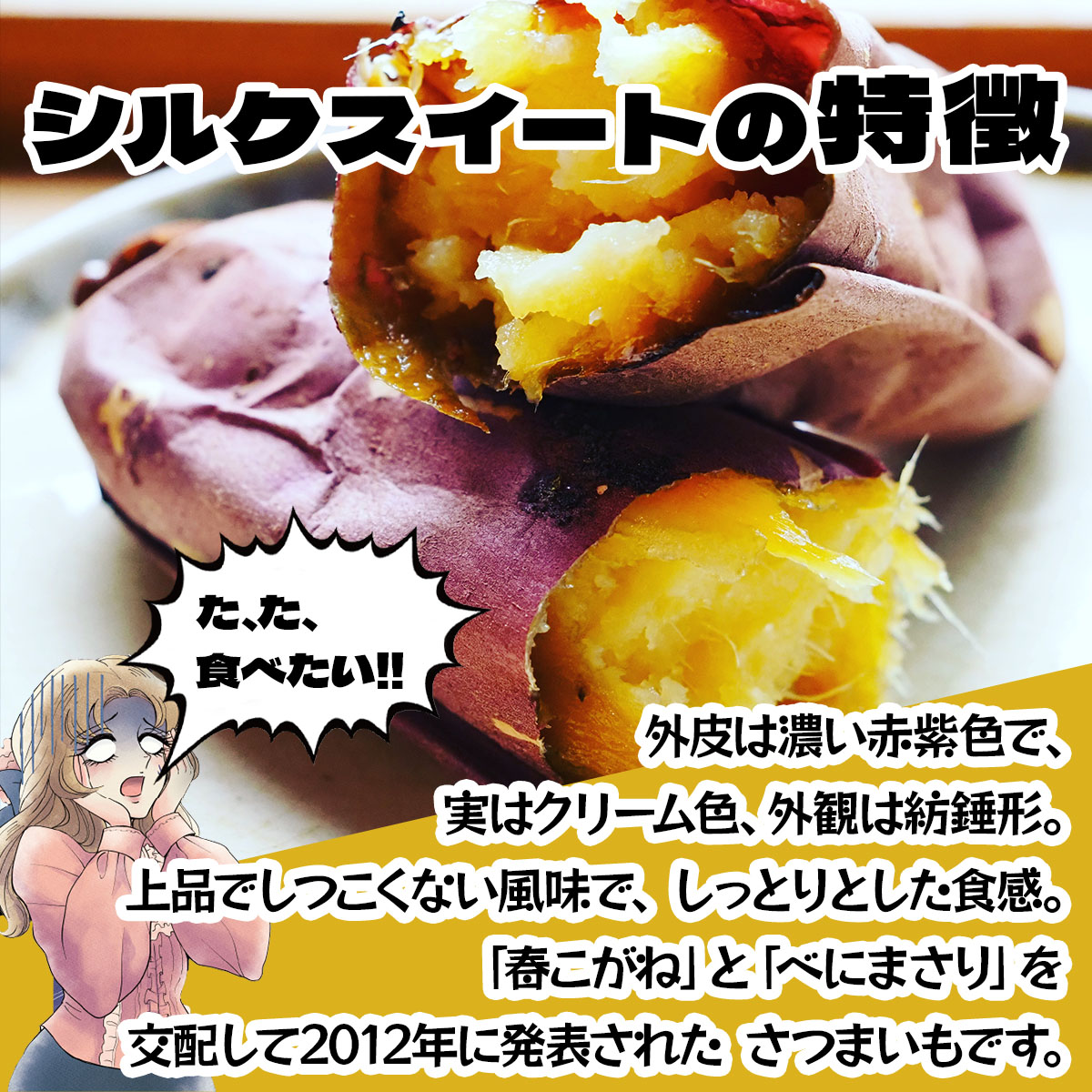 北海道 伊達 さつまいも シルクスイート 15kg 熟成 高糖度 サツマイモ 芋 甘い スイートヤバ芋 産地直送_イメージ3