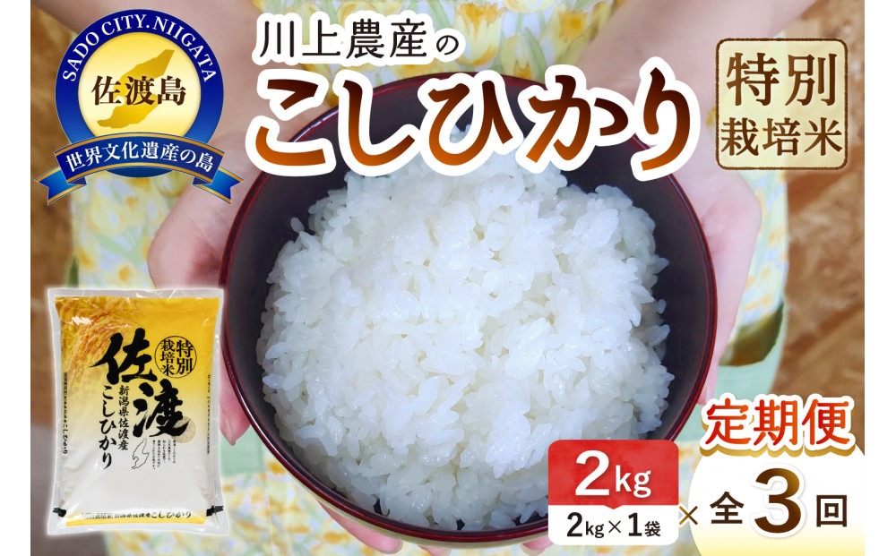 【レビューキャンペーン実施中！】令和7年産 佐渡 川上農産のコシヒカリ 定期便（2kg×全3回）