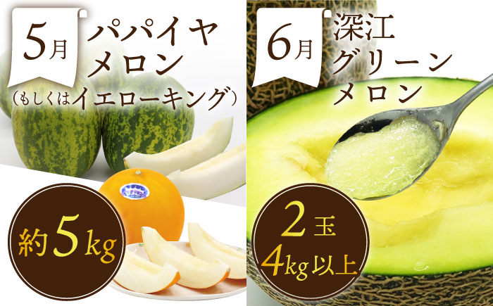 【12回コース】果物屋が選ぶ旬のフルーツ定期便 いちご メロン びわ みかん 梨 柿 など フルーツ定期便 / 南島原市 / 贅沢宝庫 [SDZ023]