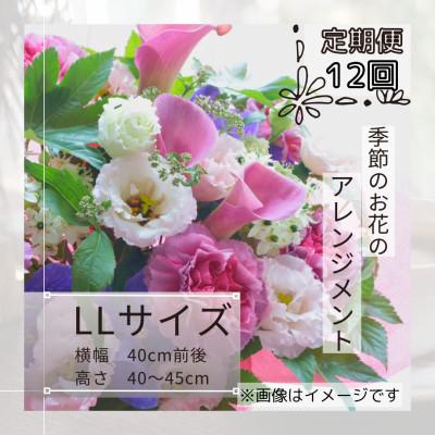 ふるさと納税 筑西市 【毎月定期便】季節のお花のアレンジメントLLサイズ〜届いてそのまま飾れるフラワーアレンジ全12回