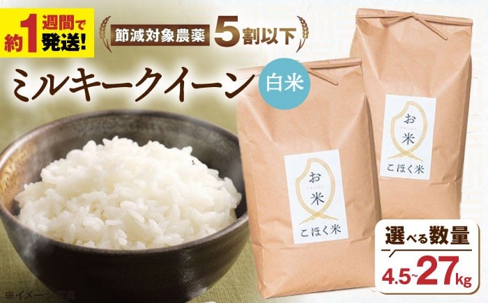 
            【スピード発送】【令和7年産】米 湖北産 ミルキークイーン 4.5kg・9.0kg・18kg・27kg 白米  選べる容量 長浜市/エース物産[AQAK010] 米 お米 ご飯 白米 ミルキークイーン 近江米 滋賀県産 長浜市産 こめ 玄米 白米 精米 お米  食品 ふるさと納税 国産 炊きたて 米ギフト もちもち ブランド米  食卓 人気 ごはん ご飯 おにぎり 炊き込みご飯 おすすめ
          