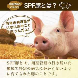 龍ケ崎のお米を食べて育った常陽さん家の美味豚(SPF豚) 豚バラ 焼肉用 2kg | 国産 バラ バラ肉 ロース 豚 SPF SPF豚 豚肉 焼肉 バーベキュー しゃぶしゃぶ 肉 にく 肉類 ポーク 