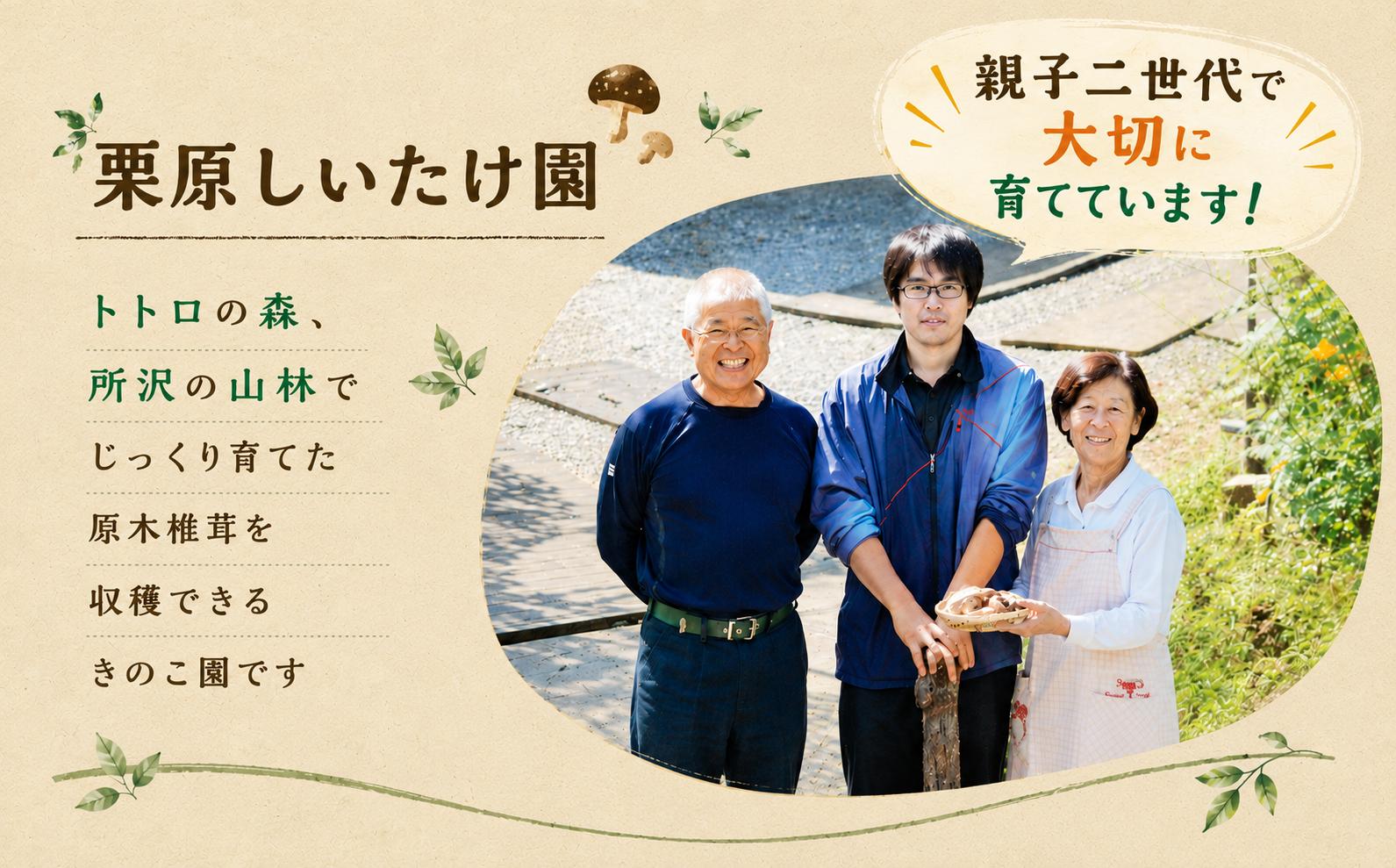 きくらげ キクラゲ きのこ キノコ 生きくらげ 生キクラゲ 野菜 やさい ヤサイ 季節限定 新鮮 栗原しいたけ園 埼玉県 所沢市