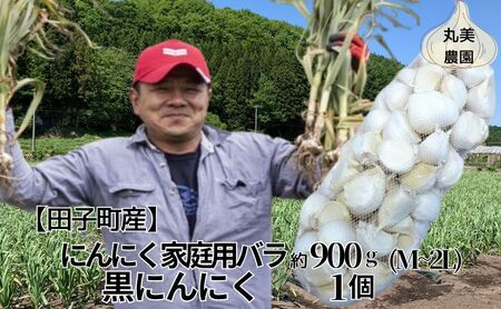 丸美農園 田子産にんにく家庭用バラ 約900g（M～2L）＋黒にんにく 1個