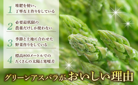 先行受付【里山JAPAN】甘くて柔らか 生きた土壌で育った『春のグリーンアスパラ』｜長野県 ※2026年春発送