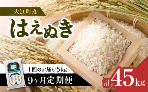 《9ヶ月定期便》大江町産 はえぬき 5kg×9ヶ月(計45kg)【山形県産】 【001-T37】