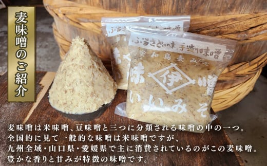 麦みそ 1kg × 4個 計 4kg 井伊商店 全麦麹味噌 麦みそ 味噌 みそ 麦味噌 発酵 発酵調味料 調味料 麦 無添加  麹 こうじ 天然醸造 数量限定 国産 愛媛 宇和島 J010-10800