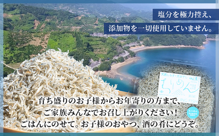 ＜訳あり ちりめん 合計300g（300g入り×1袋） 2回定期便＞ 選べる 定期便 天日干し お徳用 しらす シラス じゃこ 小分け 魚 小魚 海産物 加工品 おにぎり おつまみ おやつ 家庭用 特