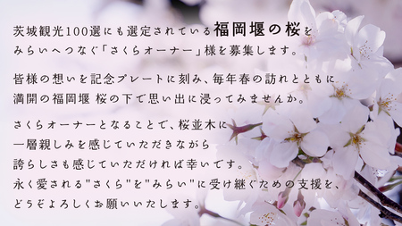 【 福岡堰 桜並木 】さくらオーナー募集【5年間・記念プレート設置】 桜 オーナー オーナー制度 権利 環境保全 自然保護 桜保全管理 地域貢献 祝 記念 記念撮影 写真撮影 記念写真 思い出 フォト