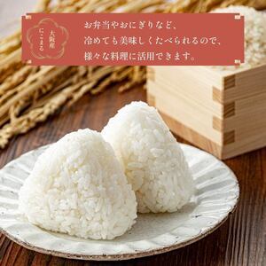 【 令和7年度産 】 お米 5kg にこまる 