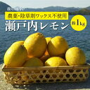 【ふるさと納税】【先行予約】佐木島レモン約1kg(S～L/6～8個)《川原ファーム》【2024年11月以降発送】【栽培期間中 農薬・除草剤不使用】佐木島 れもん 檸檬 鷺島みかんじま 広島レモン 017005