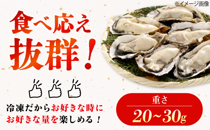 【全3回定期便】冷凍牡蠣のむき身 約1kg 江田島市/有限会社マルイチ水産 [XCU014] 牡蠣 かき カキ かき 海鮮 和食 海産物 広島県産