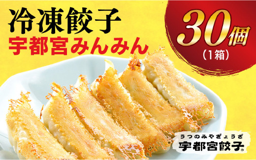 
＜宇都宮みんみん＞　餃子30個入
