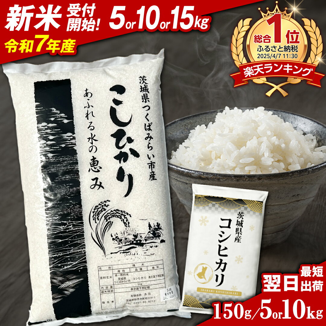 【 各期間 数量限定 】茨城県産 コシヒカリ or 2種 食べ比べ 精米 10kg / 20kg (5kg袋）＼ 選べる品種・内容量・出荷時期 ／ 令和6年産 1000円ポッキリ 年内配送 年内発送 こしひかり 米 単一米 限定 1000 9000 15000 茨城県産 国産 お米 スピード配送