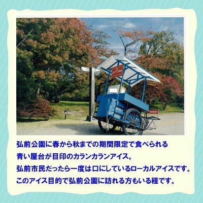 よくばりアイスセット【ケースアイス×5種類・コーン×50個・盛り付け用ヘラ付き】【配送不可地域：離島】