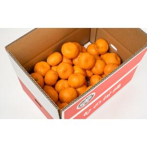 【2026年11月下旬より発送】【ご家庭用訳アリ】紀州有田産濃厚完熟温州みかん　5kg【日高町】【配送不可地域：離島】【1217243】