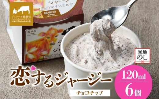 
            【ジェラート醍醐桜】【熨斗】恋するジャージーチョコチップ 6個セット / 岡山 真庭 醍醐桜 極上スイーツ 濃厚 プレゼント 贈答 デザート ギフト ジャージー牛 ミルク ジェラート おやつ チョコレート 子供から大人まで 冷凍 人気 贅沢 
          