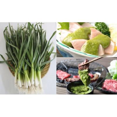 ふるさと納税 須崎市 葉にんにくぬた和風2種(さっぱり、コク)土佐のご当地調味料 |  | 02
