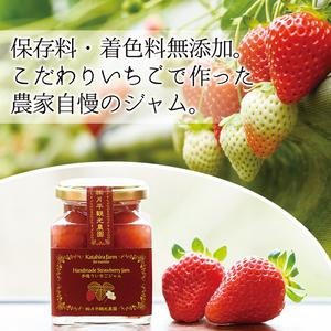 No.008 手造りイチゴジャム(約200g×10本) 【片平観光農園】