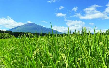 【天日干し米】 あきたこまち 精米 5kg×3ヶ月 定期便 ／ 白米 ご飯 産地直送 伊藤家 お米