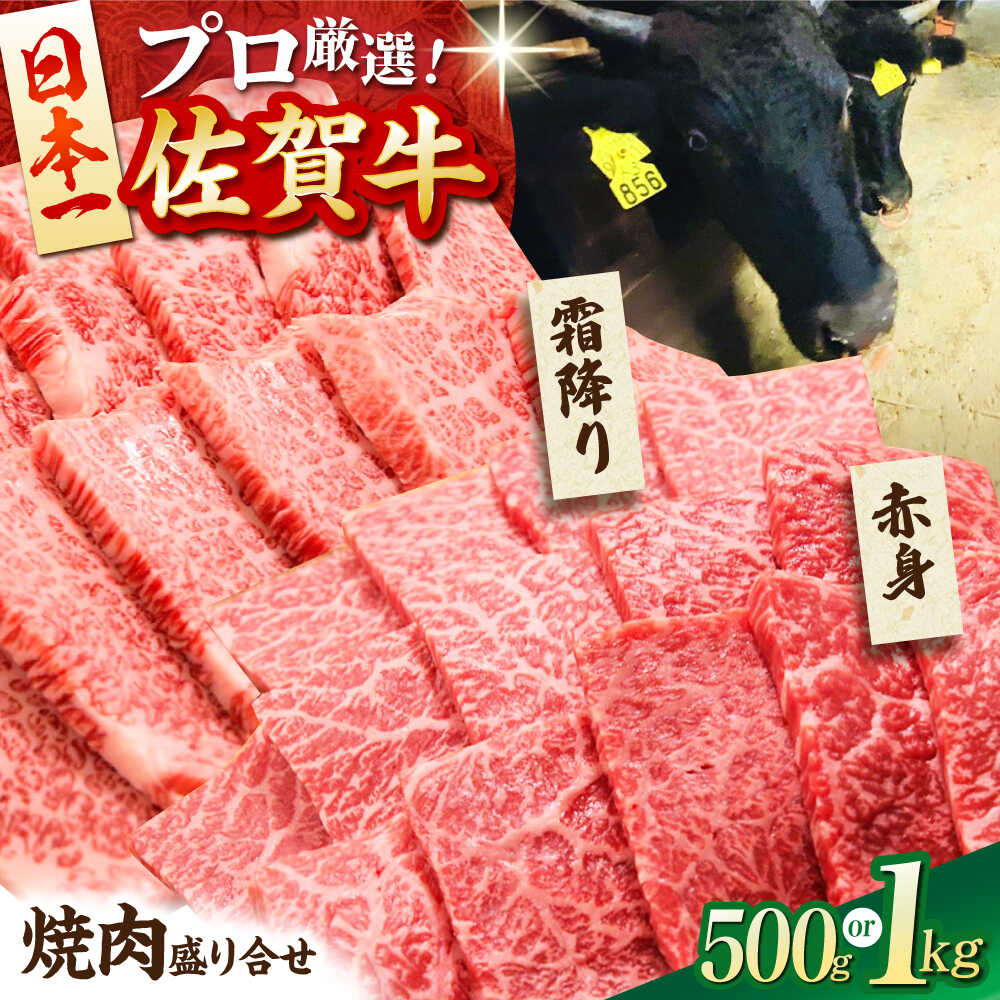 【ふるさと納税】【選べる容量】 佐賀牛 焼肉 盛り合わせ ( 霜降り ・ 赤身 ) 500g or 1kg 【田中畜産牛肉店】[HBH062] / 牛肉 焼肉用 黒毛和牛 BBQ ロース 赤身 霜降り肉 セット 食べくらべ 贈答 ギフト 冷凍 国産 佐賀県 江北町