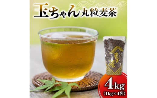 麦茶 玉ちゃん 丸粒麦茶 1kg 入れ 4袋 飲料 大容量 むぎ茶 煮出し 八木音 静岡県 静岡県 藤枝市